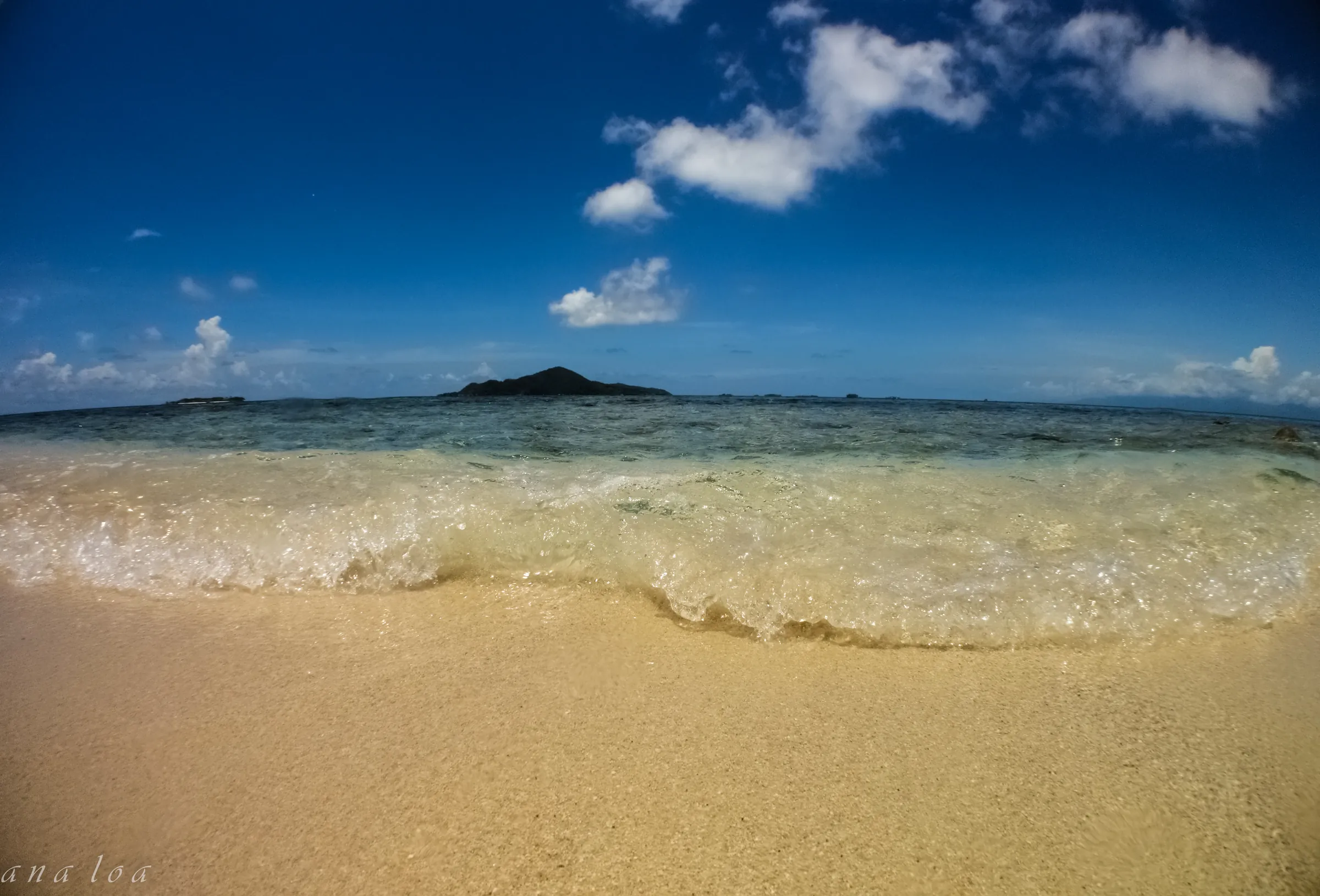 Beachfront & Oceanview