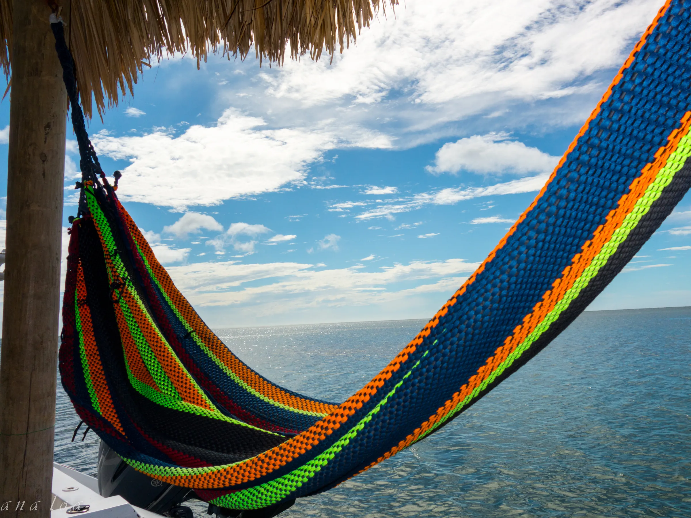 Short-Term vs. Long-Term Rentals