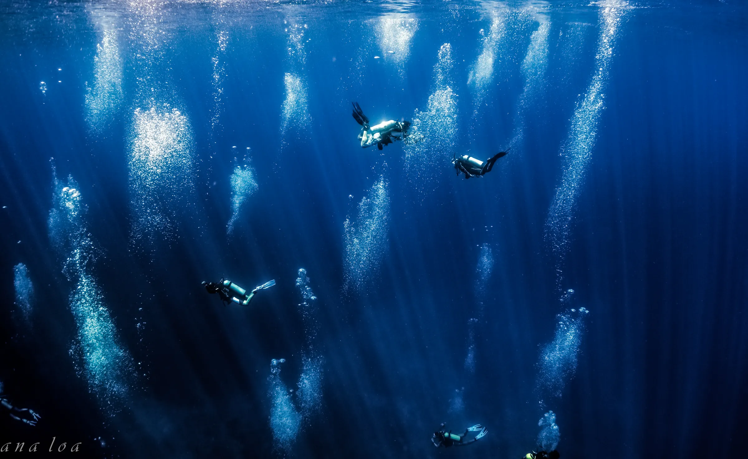 Scuba Diving Experiences